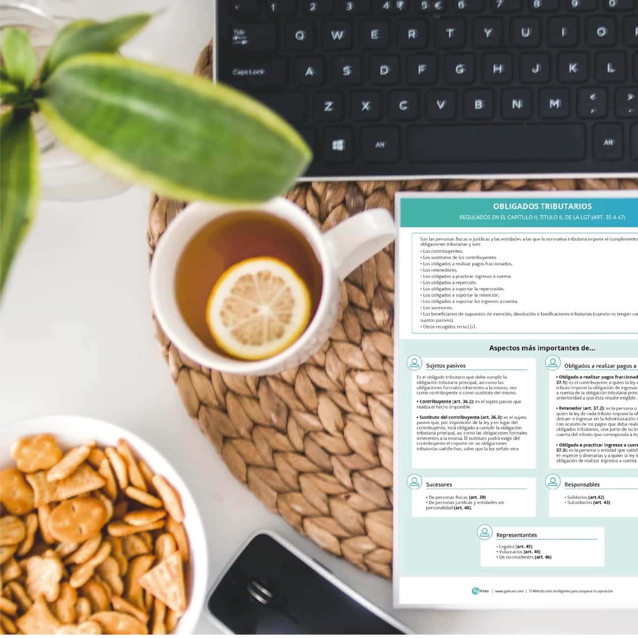esquema-oposiciones-obligados-tributarios-lgt